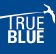 TRUE BLUE-東海大学受験生応援サイト